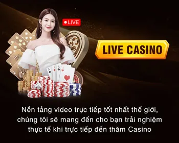 Cam kết người dùng